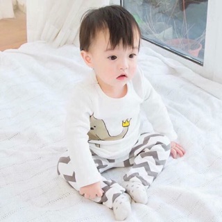 Combo 2 bộ xuất Hàn hình con voi