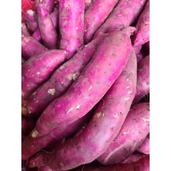 Khoai lang nhật   1 kg