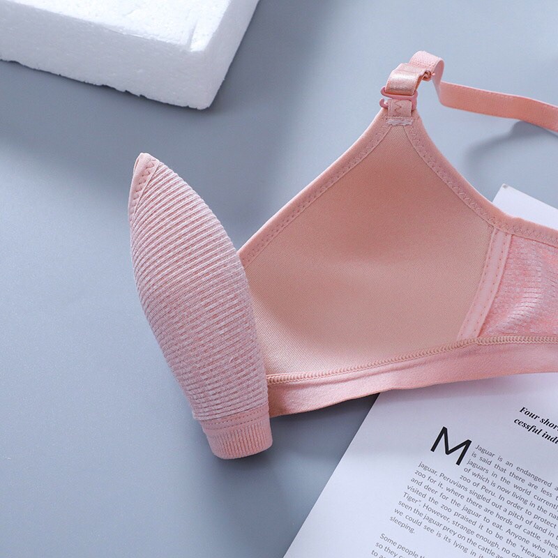 Áo lót ngực nữ sinh cotton cao cấp dây lưng bản to 3 móc chắc chắn 163