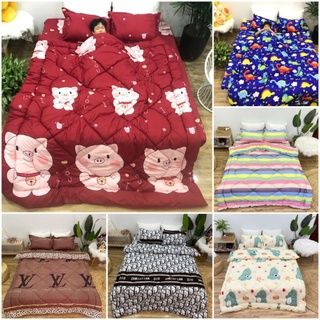 Sét 5 món ga gối chăn phao poly cotton có ruột bông dày loại 1