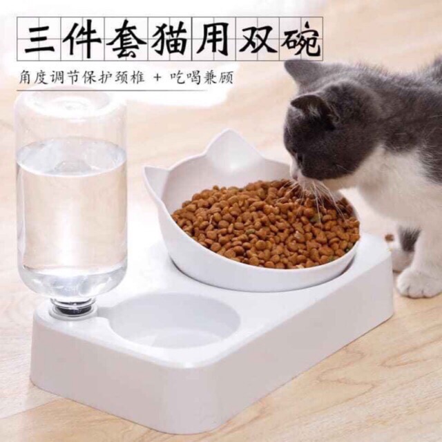 Bát ăn đầu mèo kèm bình nước tự động cho chó mèo( màu ngẫu nhiên)