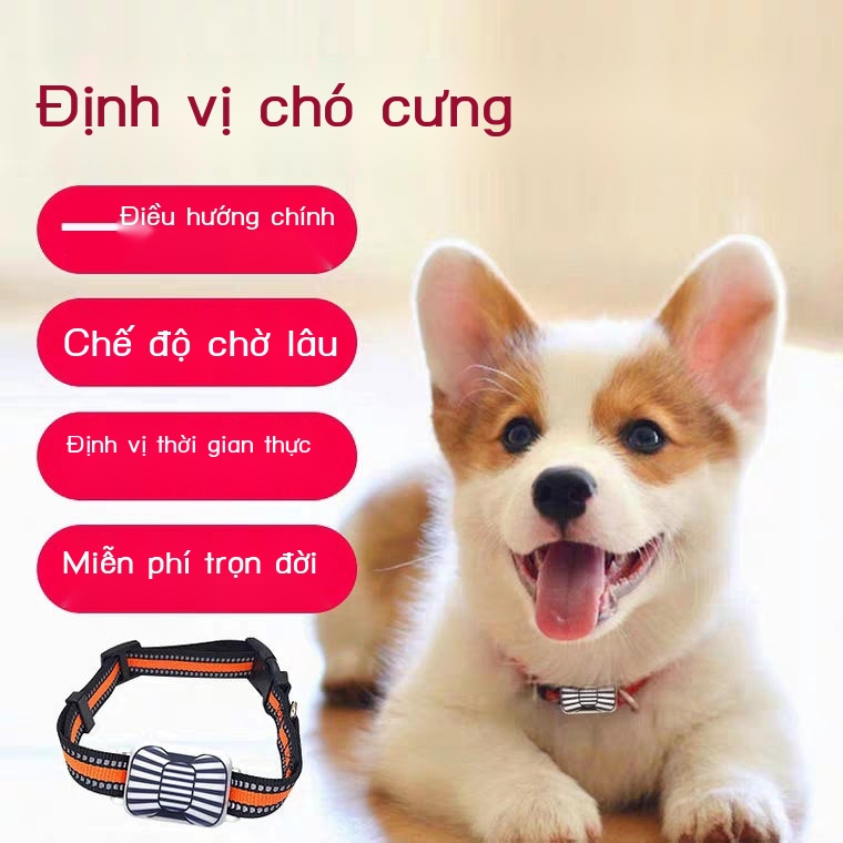 Thiết bị định vị vật nuôi chó định vị theo dõi gia súc cừu ngựa di chuyển chó gps định vị chó định vị chó mèo