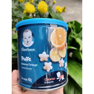 Bánh ăn dặm Gerber đủ vị 49g