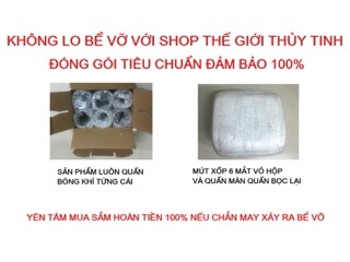 BÌNH NGÂM RƯỢU QUAI 16L