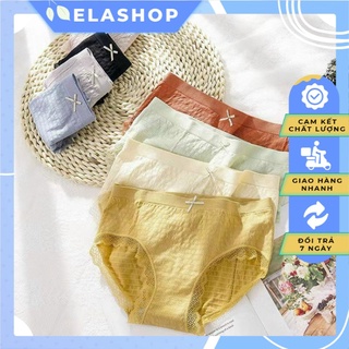 Combo 5 Quần lót cotton phối ren kháng khuẩn cao cấp