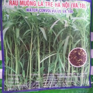 Combo 100k 10 gói hạt rau các loại