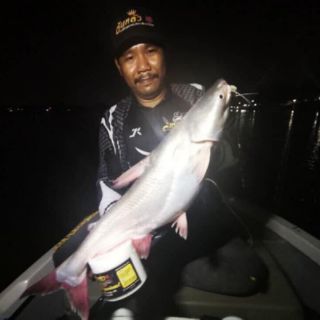 MỒI THUỐC CÂU CÁ LĂNG THAILAND