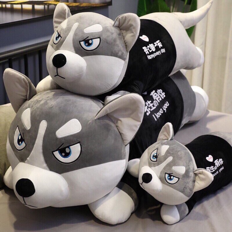 [G07]  Gấu bông Chó husky, chó ngáo size 1M5 Siêu to khổng lồ. S020