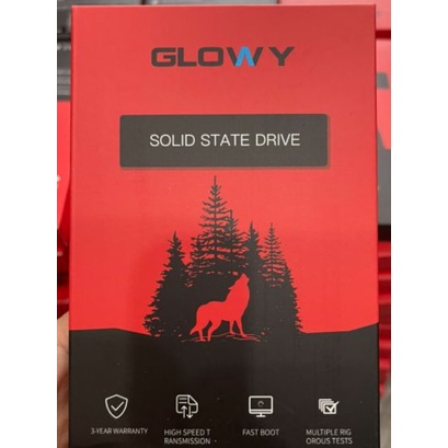 Ổ cứng SSD 120G GLOWAY chính hãng, bảo hành 36 tháng | BigBuy360 - bigbuy360.vn