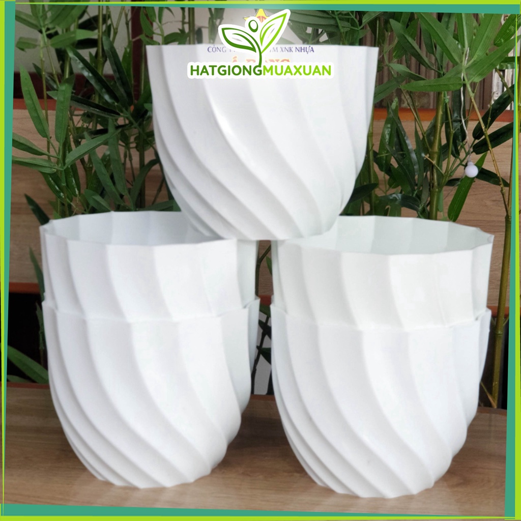 Bộ 02 chậu ốc xoắn màu trắng nhựa siêu dày 17x14cm