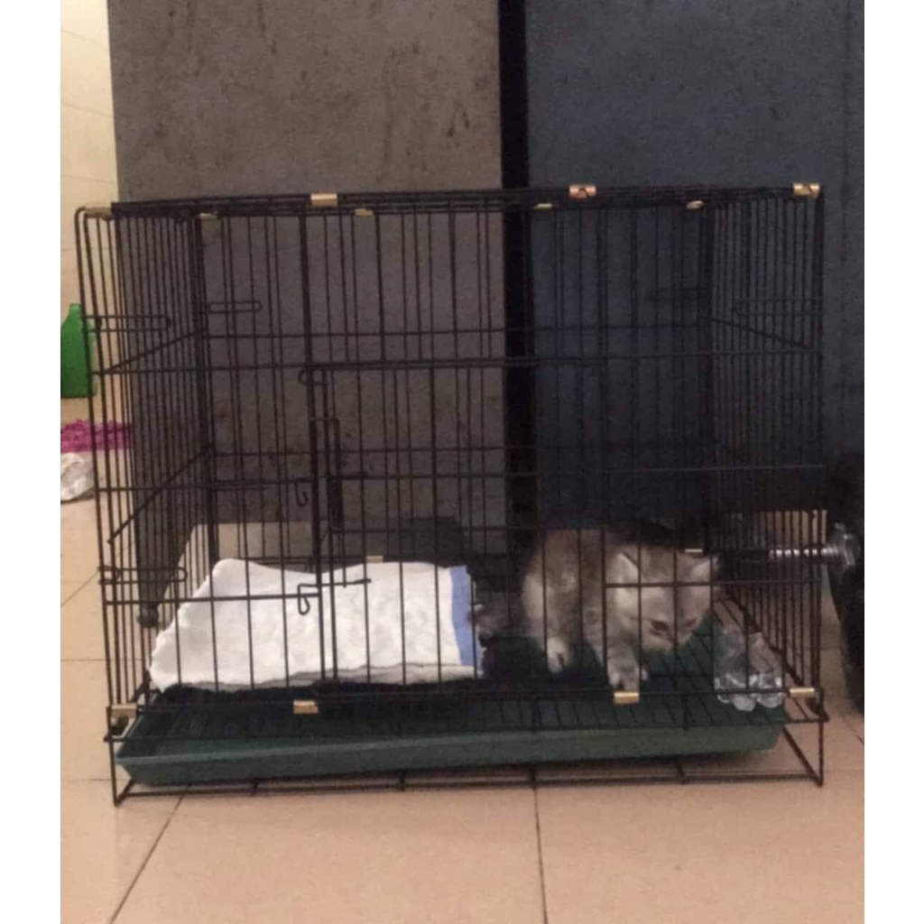 Chuồng Sắt Tĩnh Điện Size 30x50 Chó Dưới 5kg - Chuồng Sắt Xếp Gọn Kèm Mâm Hứng