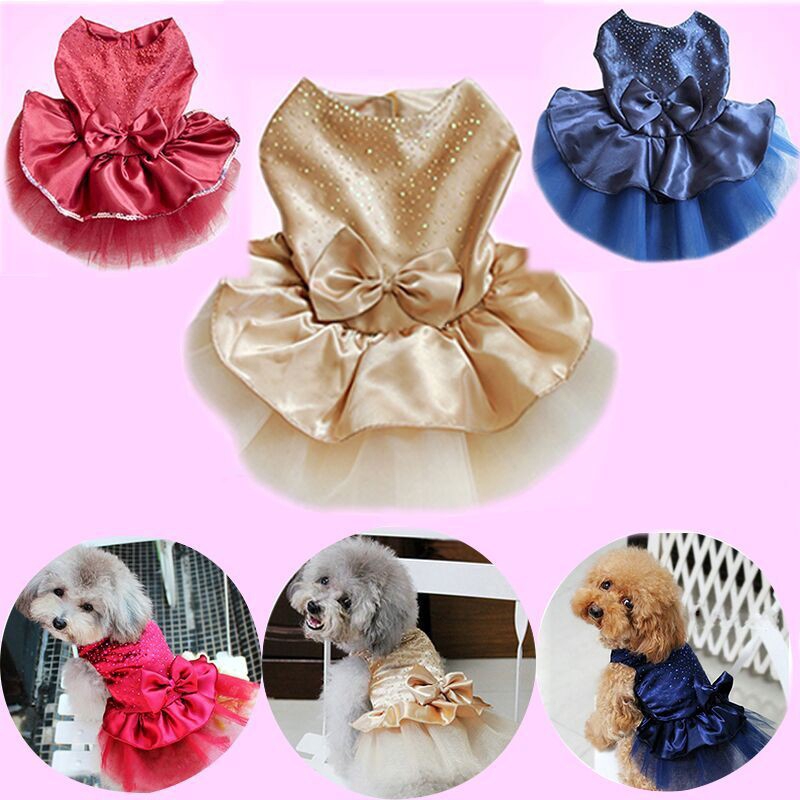 Váy Cưới Xinh Xắn Cho Thú Cưng