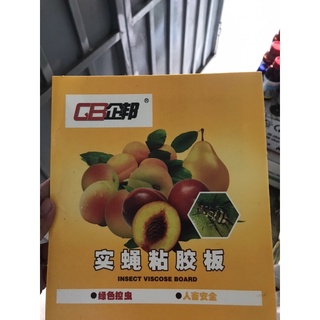 Bẫy ruồi vàng