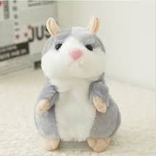 Chuột bông hamster biết nói , biết nhại giọng .