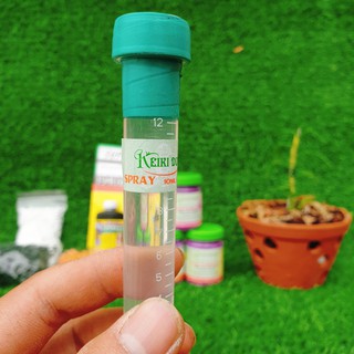 Keiki duy xanh ⚜️freeship⚜️ spray kích mầm - kích kie hoa lan