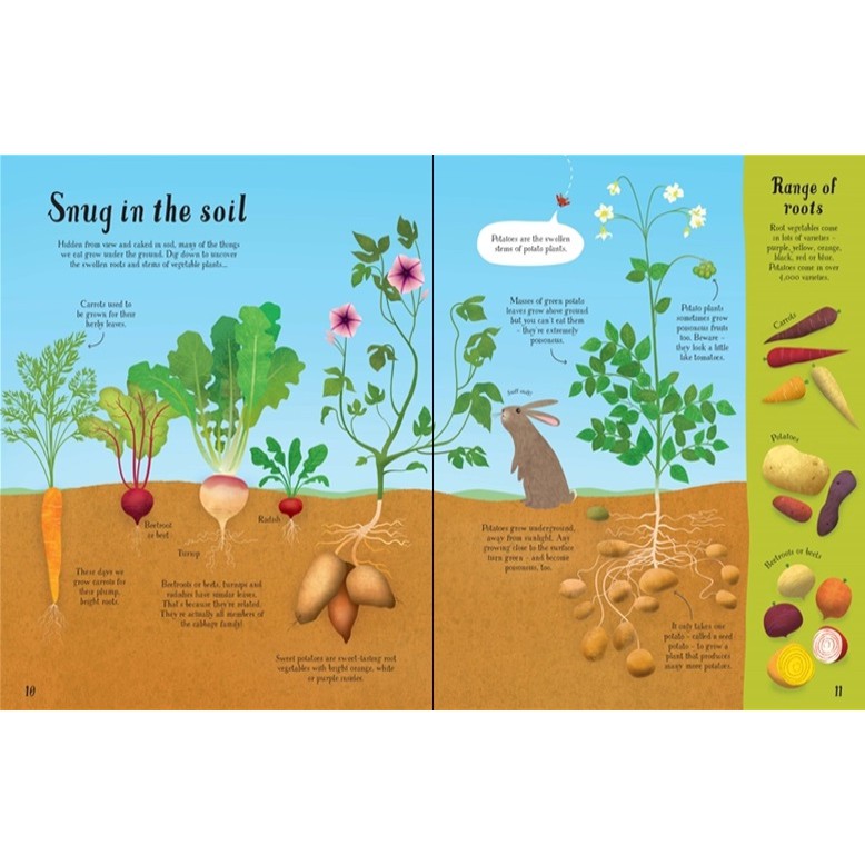 Sách Usborne - Sách thiếu nhi khoa học cho bé 6-8 tuổi It all starts with a seed how food grows