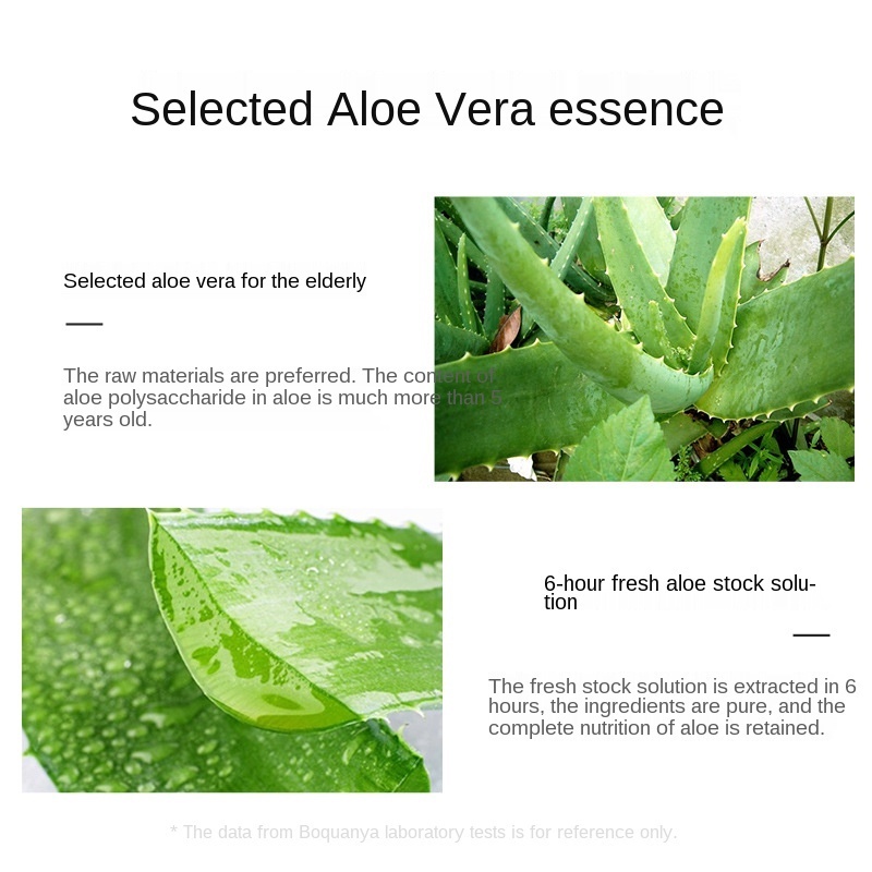 Mặt Nạ Aloe Solution Mask Pack Skin Cleanliness Chiết Xuất Nha Đam 25g ILY