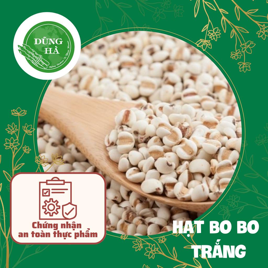 Ý Dĩ Nhân - Hạt Bo Bo Nếp Chất Lượng Hảo Hạng - Bung Nở Thơm Nức