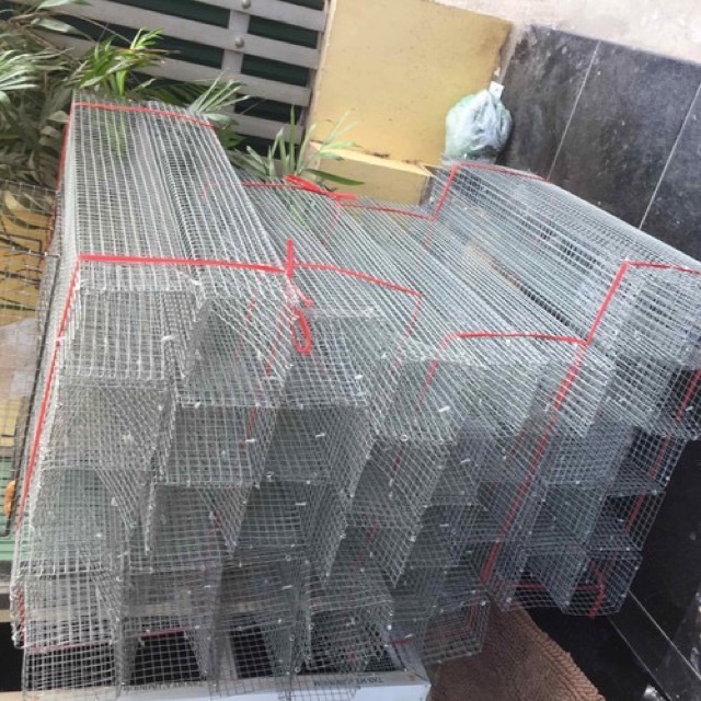 Lồng Bẫy Rắn (1 hom) Thép Chất Lượng Chống Gỉ [ Size: 60x12x12cm và 70x15x15cm ] Mắt 1cm