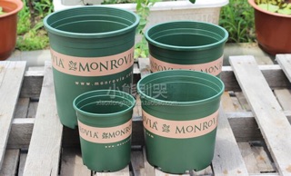 Chậu MONROVIA