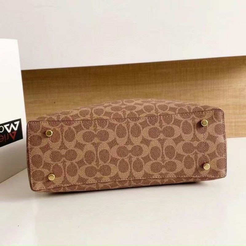 Túi coach cực sang