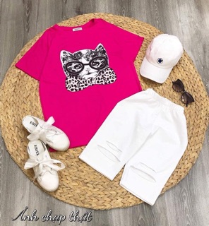 Sét áo mèo quần legging