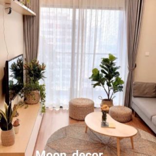 Thảm cói múi đặc kích thước 1m8, 2m