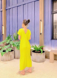 Đầm dập li cổ V thái