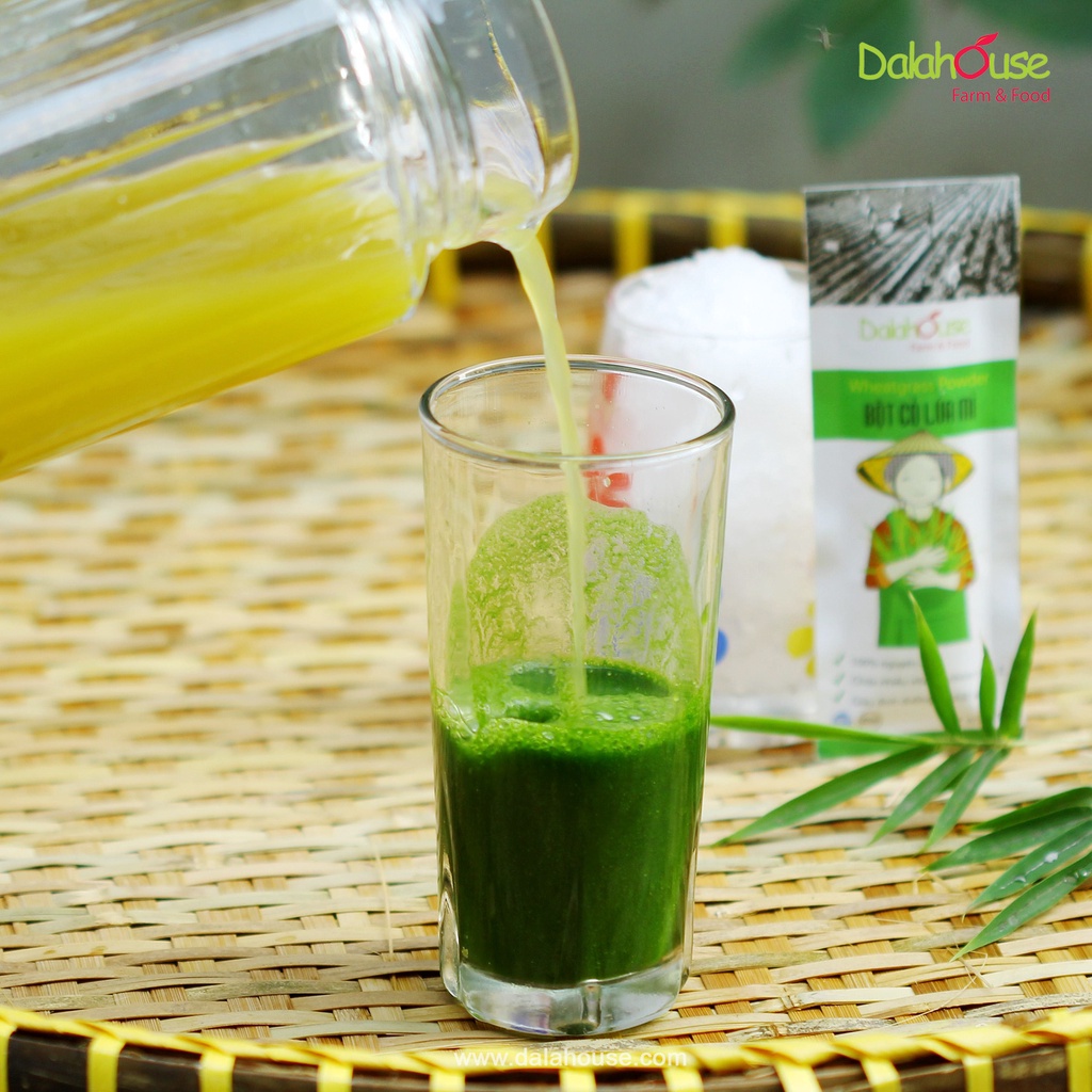 Bột cỏ lúa mì hữu cơ sấy lạnh Dalahouse (wheat grass powder)