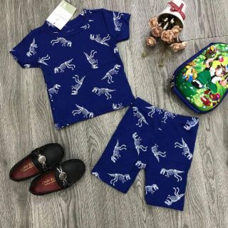 Combo bộ carter's cho bé trai và gái cực HOT