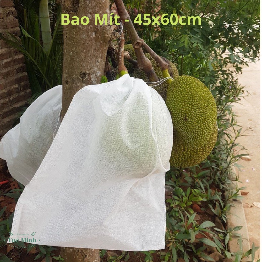 100 Túi Vải Bọc Trái Cây Có Kèm Dây Rút Cỡ 45x60cm Bảo Vệ Mít...