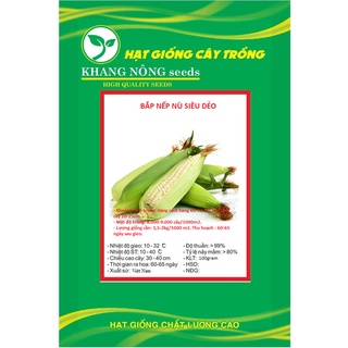 Hạt giống bắp nếp nù siêu dẻo kns3713 - gói 100gram