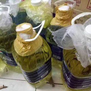 Tinh dầu tràm gió