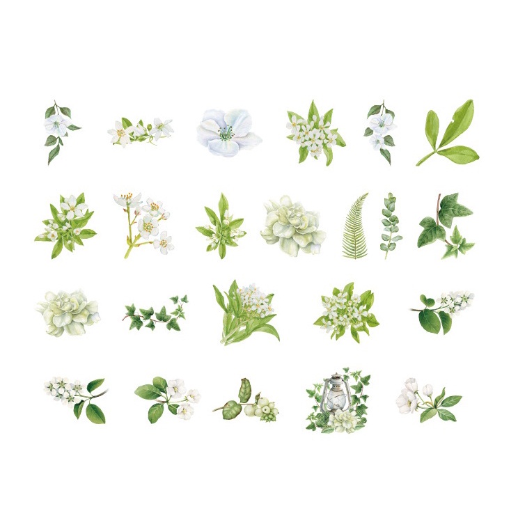 Hộp 46 chiếc sticker TRÀ TRẮNG LÁ XANH vintage tươi mát trang trí sổ Bullet Journal, decor Thư Thiệp Quà