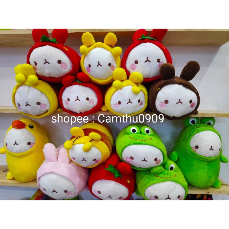 Gấu bông molang,thỏ bông molang đáng yêu nhiều mẫu