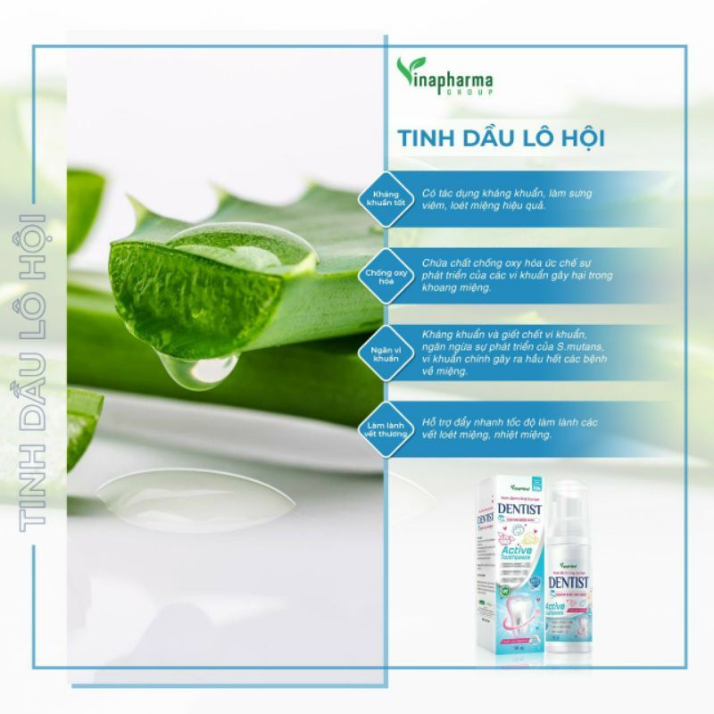 Kem Đánh Răng Tạo Bọt Dentist Vinapharma Group