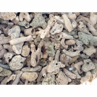 Combo san hô và nham thạch (1kg san hô và 1kg nham thạch)