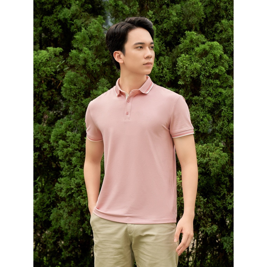 Áo Polo YODY Nam Pique Mắt Chim Melange Phối Nẹp Thiết Kế Mới APM5331