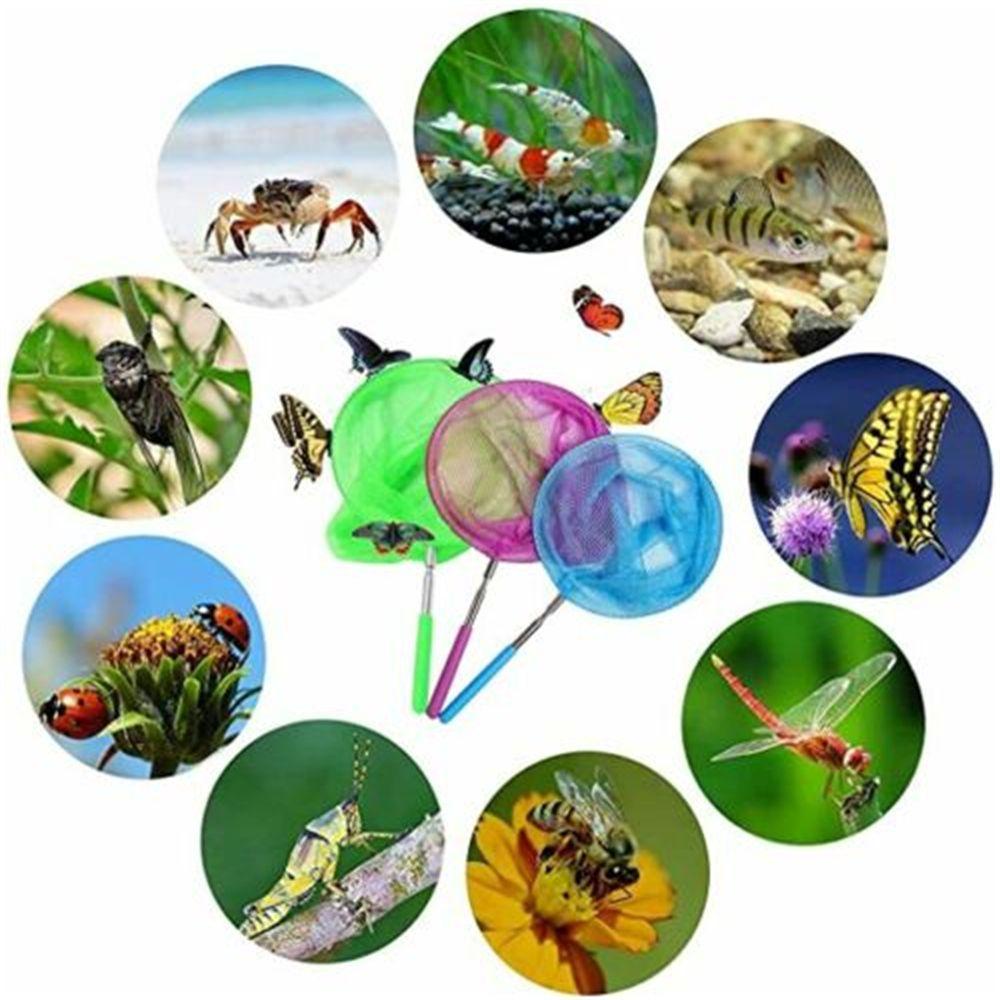 Vợt Lưới Bắt Côn Trùng Bằng Thép Không Gỉ Có Thể Mở Rộng Tiện Lợi Dành Cho Hoạt Động Ngoài Trời
