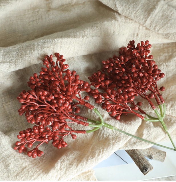 Hoa giả- Cành điểm lý hương Skimmia