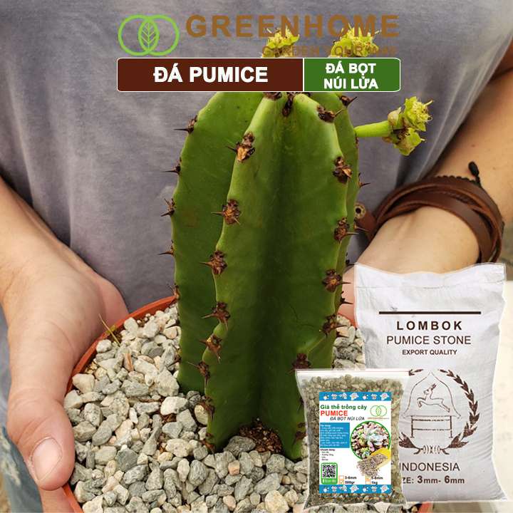 Đá Pumice Greenhome, Bao 1kg, Đất Trồng Sen Đá, Giá Thể Trồng Cây, Lót Chậu, Nhiều Khoáng Chất, Thoát Nước Tốt