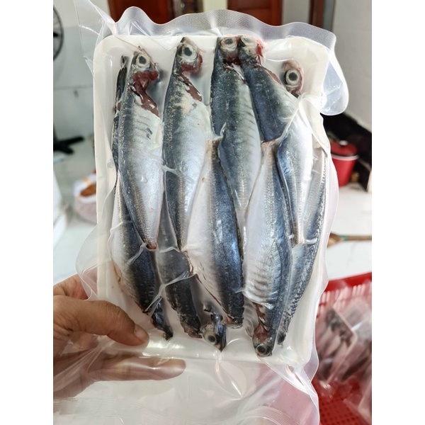 Cá nục nhỏ xíu - 0.5kg