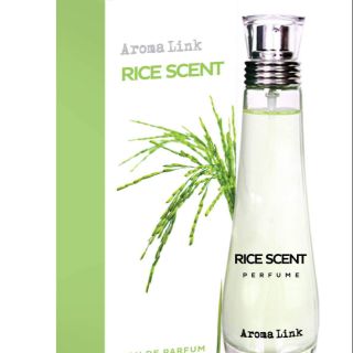 Nước hoa aroma link rice scent hương gạo thơm