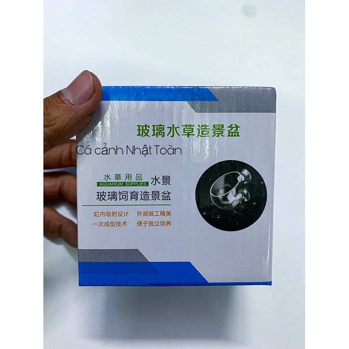 CỐC ĐỂ TRỒNG CÂY THỦY SINH 6CM