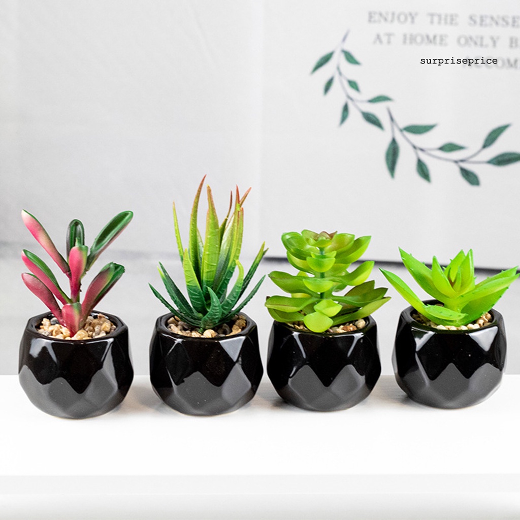 Chậu cây bonsai giả bằng PVC có thể tái sử dụng trang trí nhà cửa