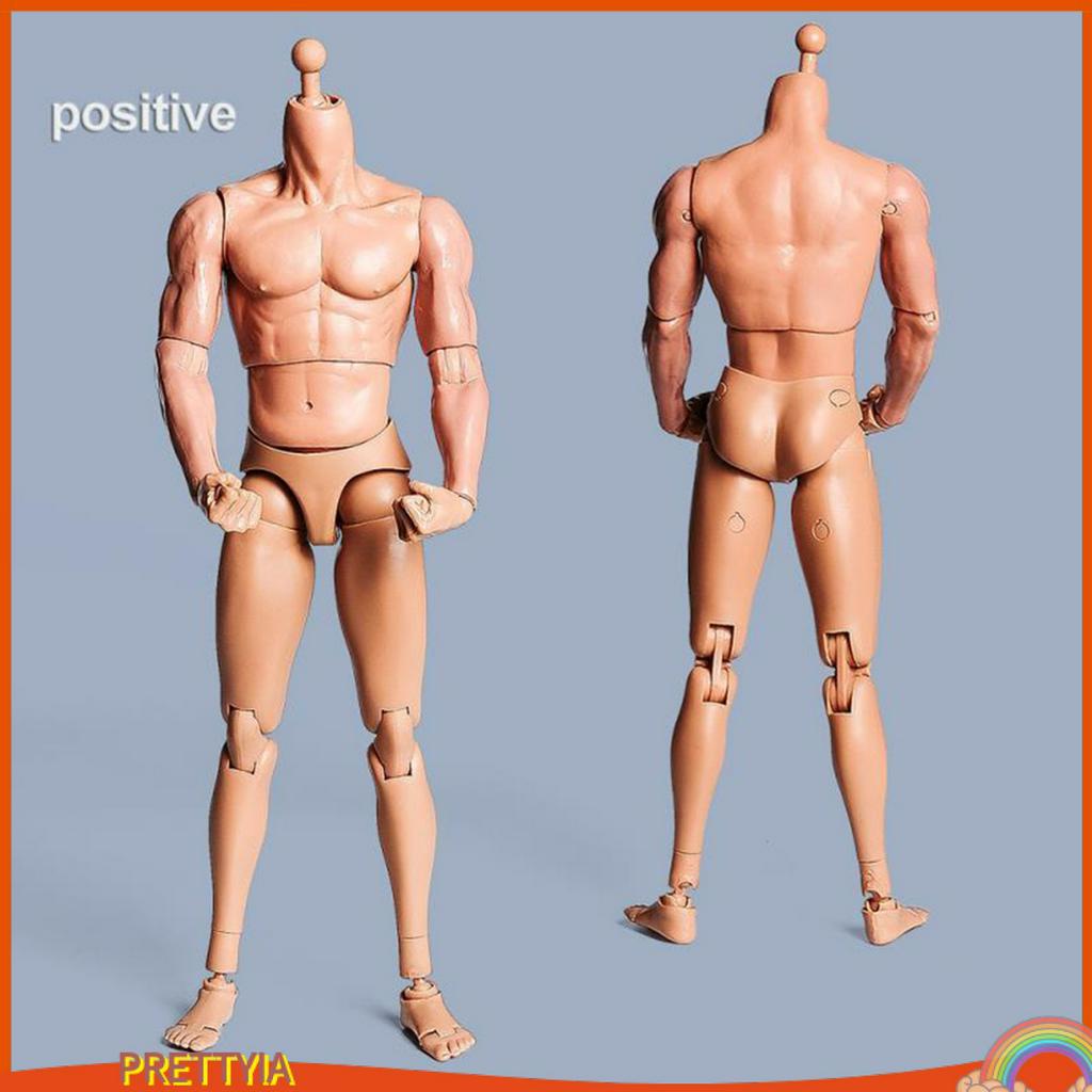Mô Hình Cơ Thể Nam Tỉ Lệ 1 / 6