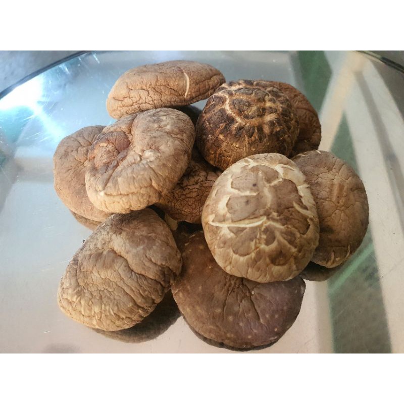 Nấm đông cô khô, dày, sáng da, trắng, đẹp 👉 Giàu đạm thực vật 👉 Chay, Mặn đều nên dùng