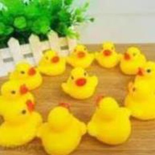 Đồ chơi vịt subade