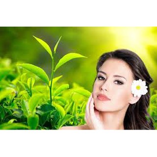 Tinh Dầu Trà Xanh Lọ 10ml