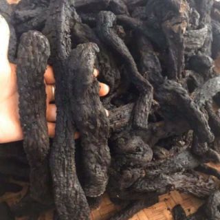 Nhục thung dung bổ thận tráng dương